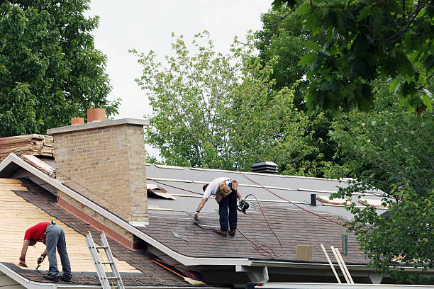 Best Roof Gutter Cleaning  in Oasis, CA